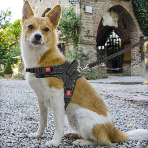 Pet Dog Soft Adjustable Harness Large Dog Walk Out Harness Vest For Medium Dog Chest Strap Dog Harness Pets Accessories