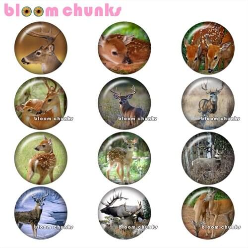 Deer Round photo glass cabochon demo flat back Making findings 12mm/18mm/20mm/25mm B4179