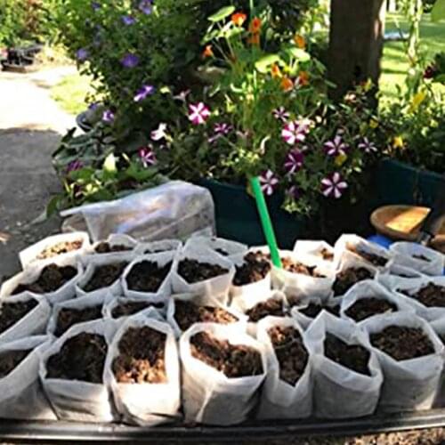 100 Seed Nursery Bags Sturdy Plant Growth Bag For Sowing Flowers Trees Grow Bags Fabric Seedling Pots Eco-Friendly Planting Bags