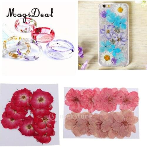 20pcs Mixed Natural Pressed Dried Flowers Filler For Epoxy Resin Jewelry Making for Arts Crafts Scrapbooking Card Phone Case DIY