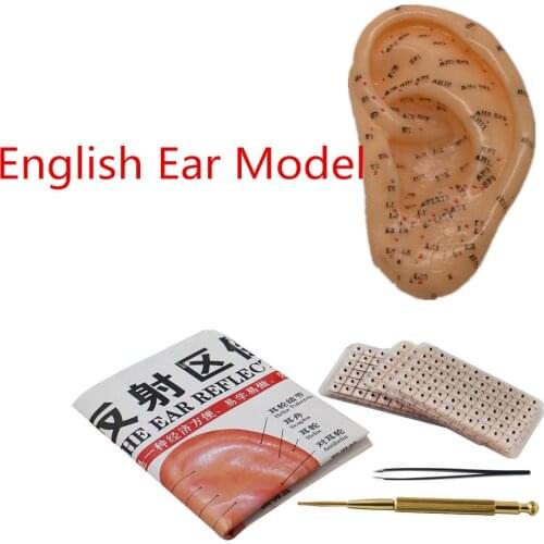 Vaccaria Ear Seeds Package Ears Stickers Acupuncture Needle Auricular Paster Press Seeds With English Ear Model