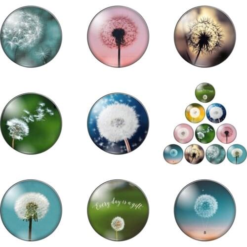 Fashion Beautiful Dandelion Mixed 10pcs 12mm/18mm/20mm/25mm Round Photo Glass Cabochon Demo Flat Back Making Findings