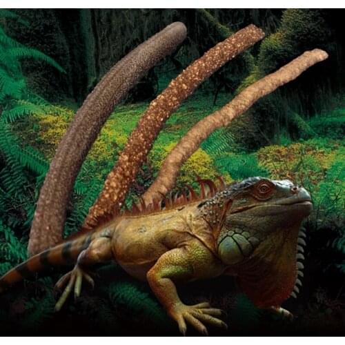 1.8m Habitat Decor Vine Flexible Vines Bendable Jungle Climber Reptile Pet Supplies Habitat Terrarium Decor A10 21 Wholesales