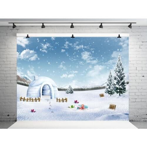VinylBDS 10x10ft Winter Photography Backdrops Snow Backgrounds For Photo Studio Christmas Forzencotton Washable Winter Backdrop