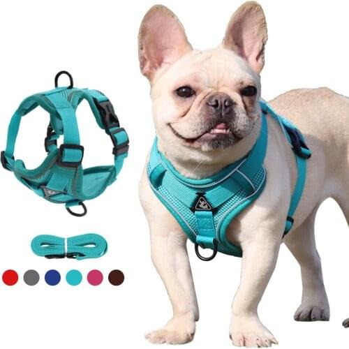 Dog Vest Harness with Walking Leash Breathable No Pull Dog Harness Reflective Adjustable Pet Harness for Small Dog Chihuahua Pug