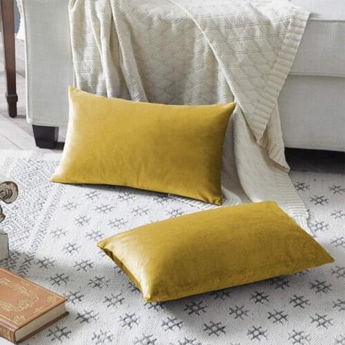 2 Pack Yellow Decorative Cushion Covers Cases for Sofa Bed Couch Modern Luxury Velvet Home Throw Pillows Covers Silver 50x50