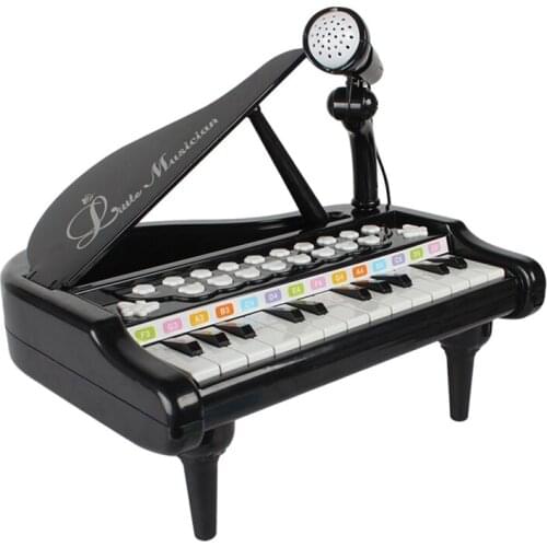 Kids 24 Keys Piano Mini Music Gift Children Musical Instrument Playing Toy Set with Microphone for Children Gifts