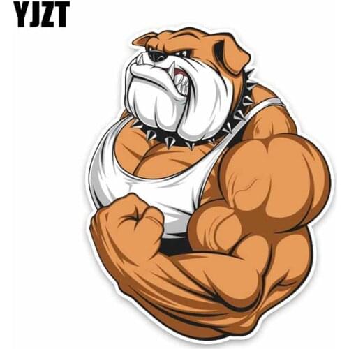 YJZT 11.2*14.5CM Bulldog Full Color Bodybuilder Colored PVC High Quality Car Sticker Decoration C1-4048