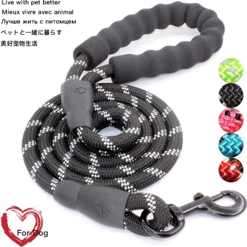 5 FT Strong Dog Leash with Comfortable Padded Handle and Highly Reflective Threads for Small Medium and Large Dogs