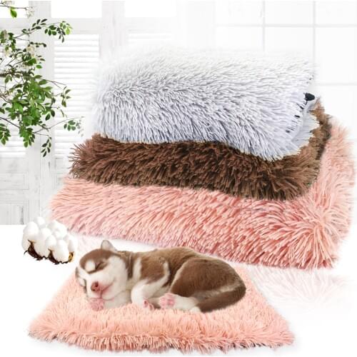 Intelitopia Dog Bedding