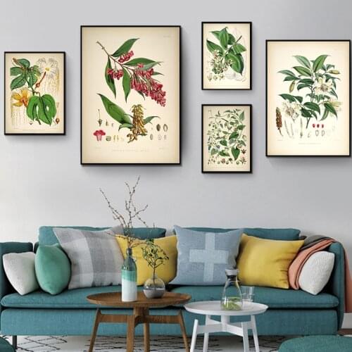 Vintage Wild Plant Poster Botanical Flower Study Poster Living Room Canvas Painting Anatomy Picture Aesthetic Home Decor