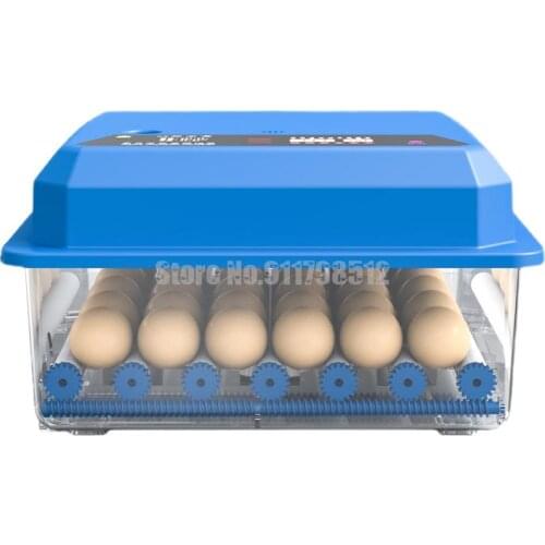 Household Intelligent Automatic Small Egg Incubator Incubator Mini Water Bed Incubator For Chicks Incubator