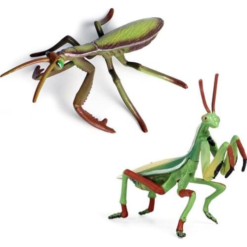 Simulation Animal Insect Model Mini Animal Praying Mantis Ornaments Kids Cognitive Educational Toy for Children