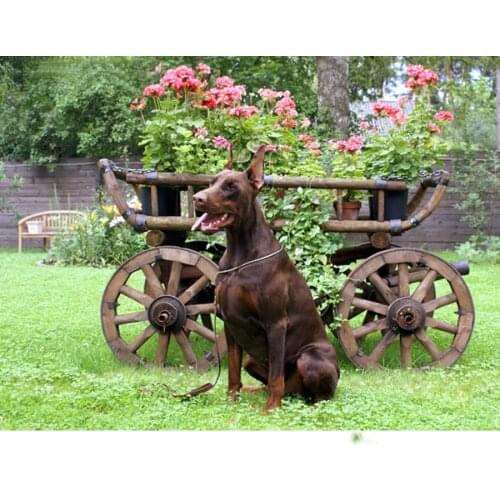 Doberman Pinscher Gifts Diamond Embroidery 5d Diamond Painting Dog Cross-Stitch full square Wall Sticker Living Room Decor AA255