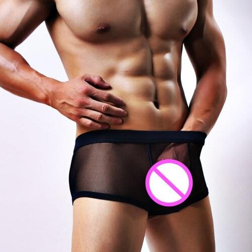 Sexy Mens Boxers Shorts Mesh Man Sex Underwear Lingerie Trunk Transparent Mesh Breathable See Through Erotic Underpants