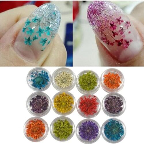 12 Colors 3D Decoration Natural Floral Sticker Real Dry Dried Flower For UV Gel Acrylic Nail Art Tips Polish Manicure Accessorie