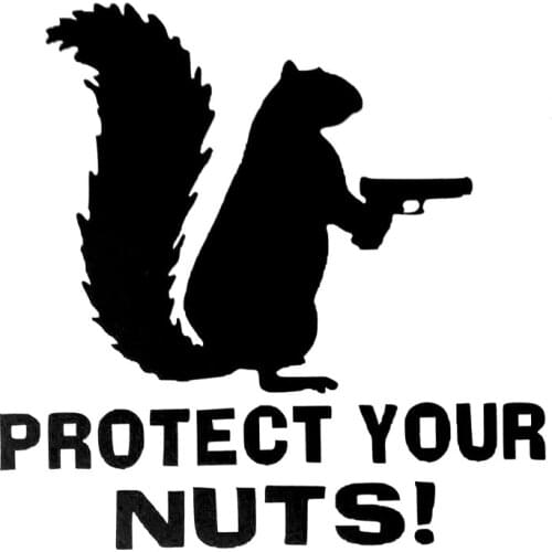 12.9CM*12.7CM Protect Your Nuts Squirrel Police Army Navy Marines Car Stickers And Decals Creative Sticker Black Sliver C8-0909