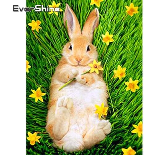 Evershine 5D DIY Diamond Painting Full Drill Square Rabbit Cross Stitch Diamond Embroidery Sale Animals Diamond Mosaic Beadwork