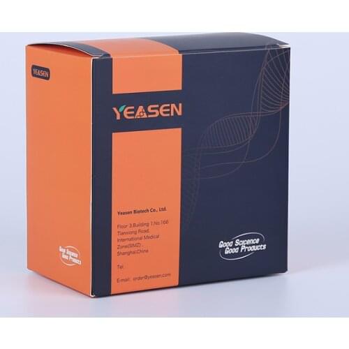 Custom Private label essential oil bottles paper box perfume skincare gift set box package design ---PX11666