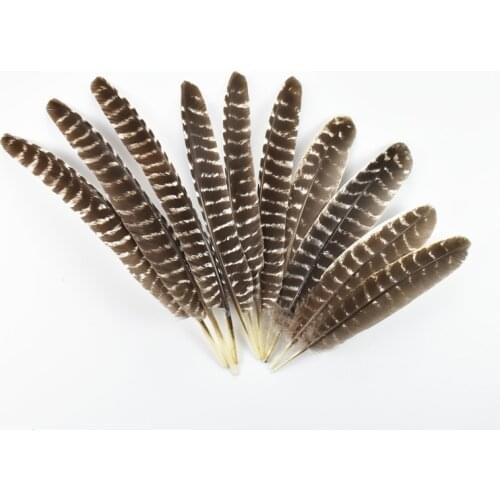 Wholesale 20-40cm/8-16inch Real Natural Eagle Feathers Trim Turky Plumes for Crafts Holiday Decorations Handicraft Accessories