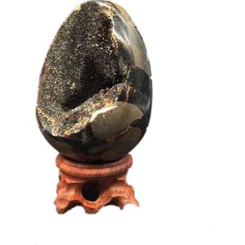 Natural Dragon Septarian Geode Egg Mineral Specimen