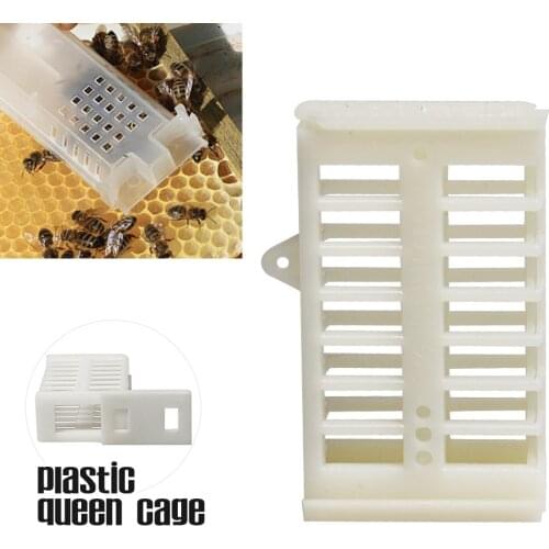 Plastoc Mini Type Bee Queen Cage Queen Rearing Kit Set Beekeeping Goods Tools For Beekeeper Supplies