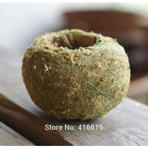 Flowerherd Tree Seeds