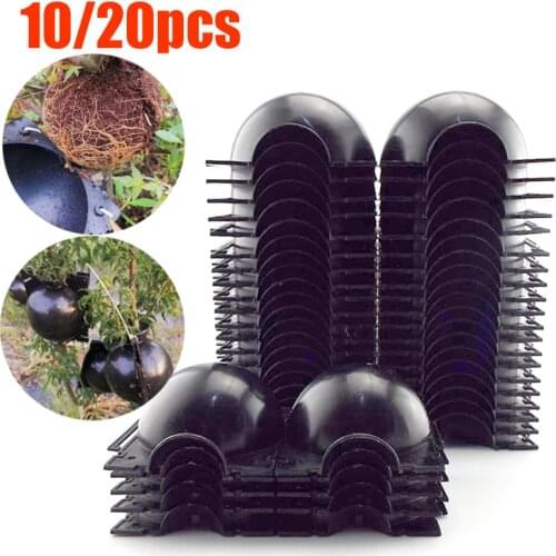 10/20pcs Plant Rooting Ball fruit tree Root grow box plastic case propagation Box Grafting Rooter Growing High-pressure ball