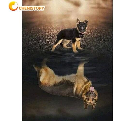 CHENISTORY Diamond Embroidery Reflection Of Dog Cross Stitch Diamond Painting Animal Rhinestones Mosaic Art Adult Kit Home Decor