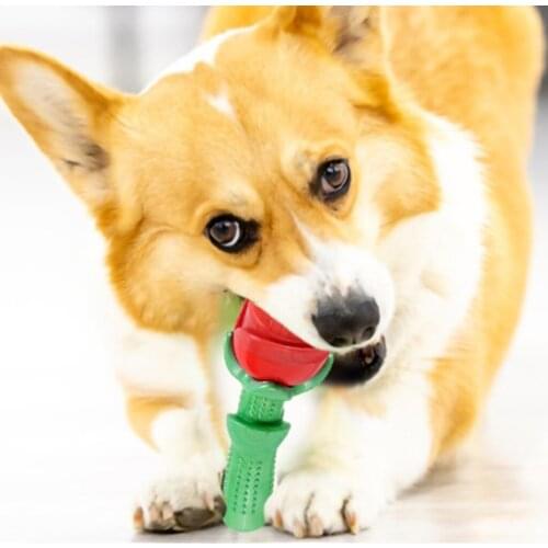 Practical Dogs Chew Toy Chewing Molar Teeth Cleaning Training Pet Supplies