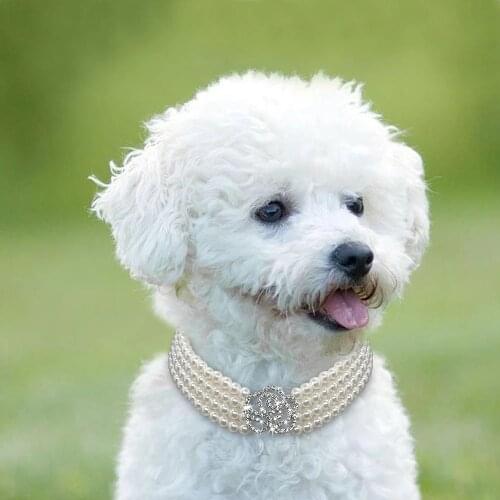 Fashion Crystal Dog Collar Necklace Choker Style Rhinestone Pearl Luxury Pet Dog Accessories Necklaces for Dog Chihuahua