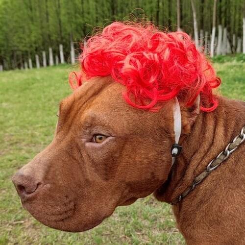 Dog Wigs Pets Dogs Hair Accessories Cats Cospaly Props Wigs Pets Funny Tiara Hairpiece Makeover Clothes for Cat Supplies Wigs