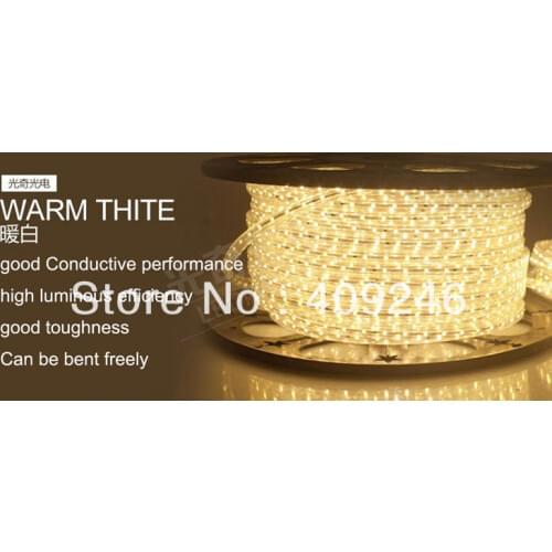 10M/Roll+Plug 3528 LED strip 110V 120V high voltage Warm White Tube type Waterproof flexible SMD led strip 60leds/M