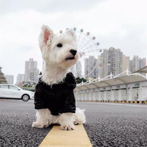 Fashion Pet Dog Wind Coat Outdoor Jacket Raincoat Clothes Pet Puppy Coat Small Medium Dogs French Bulldog LYC27