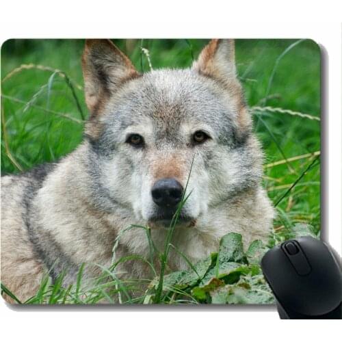 Gaming Mouse Pad Custom,Animal wolf tooth Mousepad Nonslip Rubber Backing