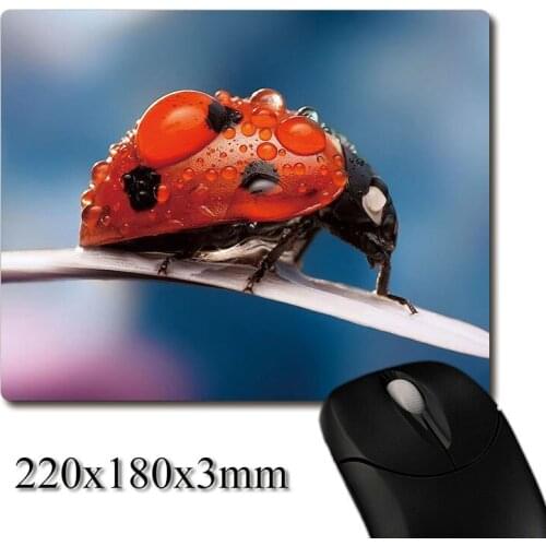 Ladybird with dew on blades of grass printed Heavy weaving anti-slip rubber pad office mouse pad Coaster Party favor gifts