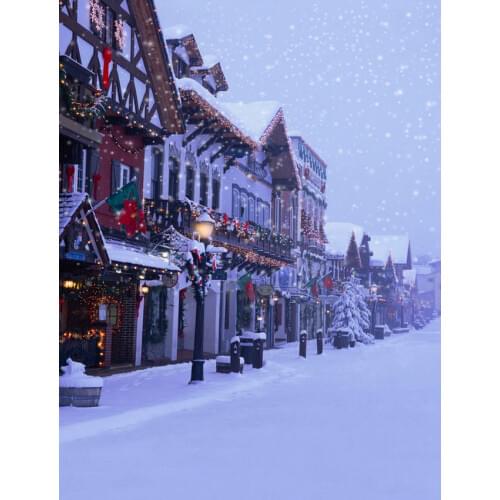 Snow Scene Photography Backdrops House Christmas Decorations Vinyl Cloth 3D Backgrounds for Photo Studio Photo Shoot Customized