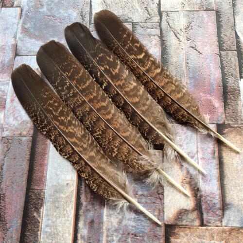 Hot Selling! Perfect 5pcs High Quality 6-8 inches/15-20 cm Scare Natural USA Wild Turkey Tail Feathers Multipurpose Decoration