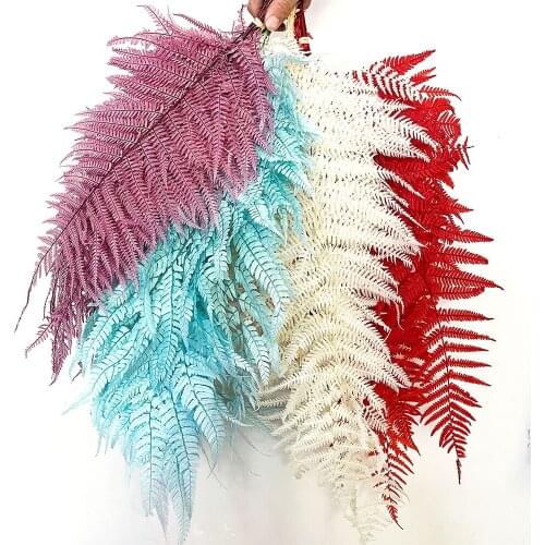 10pcs Natural Fresh Preserved Fiddlehead Ferns,Eternelle Flower Leaves for Wedding Marriage Party Home Decoration Accessories