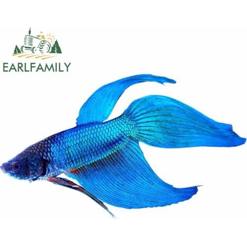 EARLFAMILY 13cm x 4.4cm for Betta Fish Vinyl Car Stickers Waterproof Anime Window Trunk Decal Custom Printing Decoration for VAN
