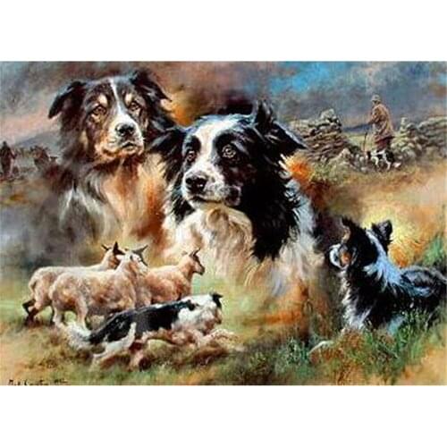 Animal Border Collie DIY Embroidery 11CT Cross Stitch Kits Craft Needlework Set Printed Canvas Cotton Thread Home Design