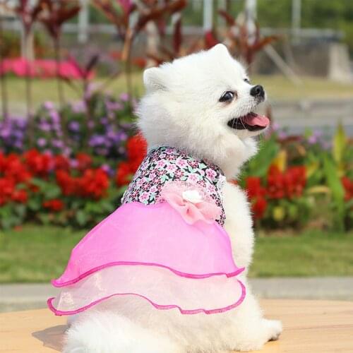 DADYPET Dresses For Dogs