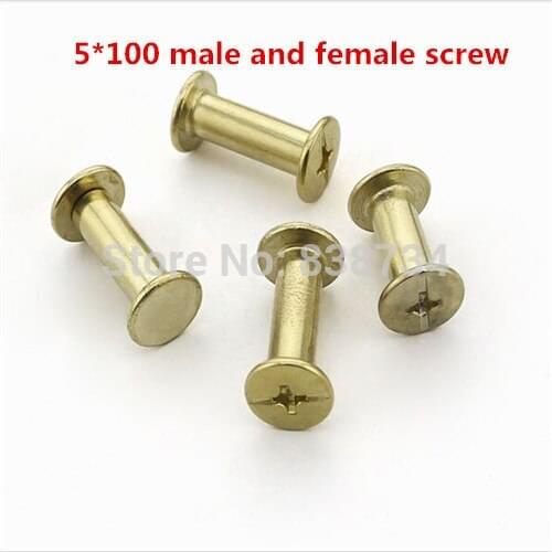 100pcs steel with brass plated 5*100mm sex screw