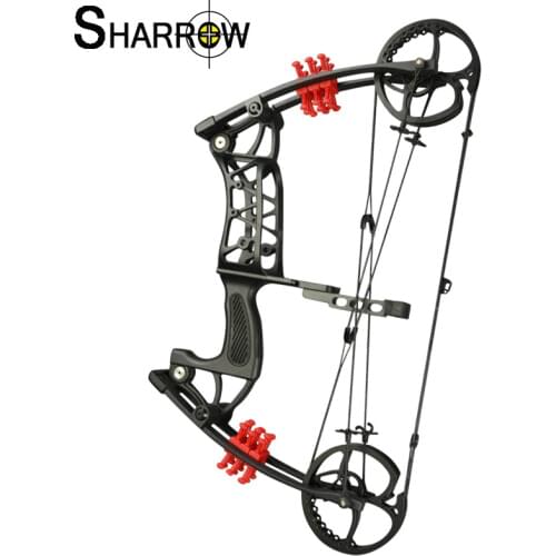 1set 30-55lbs Archery Tool Pinball Compound Bow Adjustable Hunting Accessories Bow With Carbon Arrows and Bow Limb Stablizer