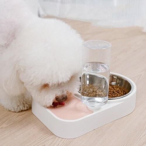 Cat Automatic Feeder Dog Double Bowl Kitten Food Water Dispenser Puppy No Spill Drinking Fountain Pet Dishes Tableware Supplies