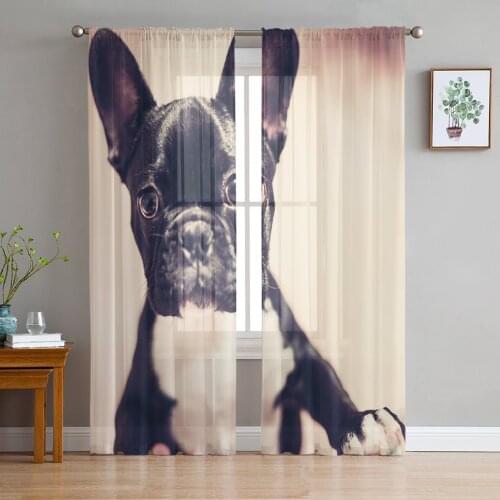 Dog Animal Pet Black Cute Fight Window Curtains Bedroom Modern Drape Sheer Tulle Valances Living Room Kitchen Voile Curtain