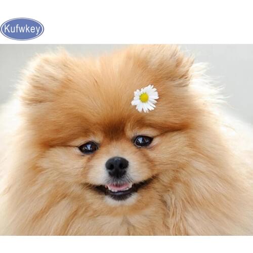 5d Diy Diamond Painting pomeranian Full Diamond Embroidery cute dog 3d Cross Stitch Rhinestone Mosaic Painting home Decoration