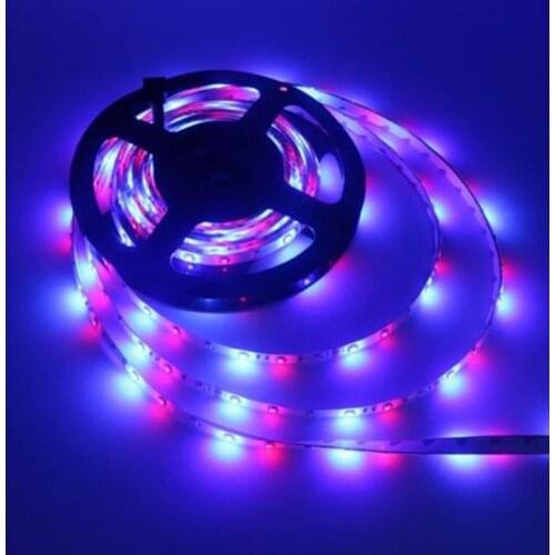 LAIDEYI LED String Lights