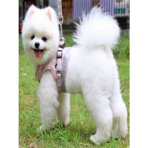 Шлейки Xbpetorld China At AliExpress