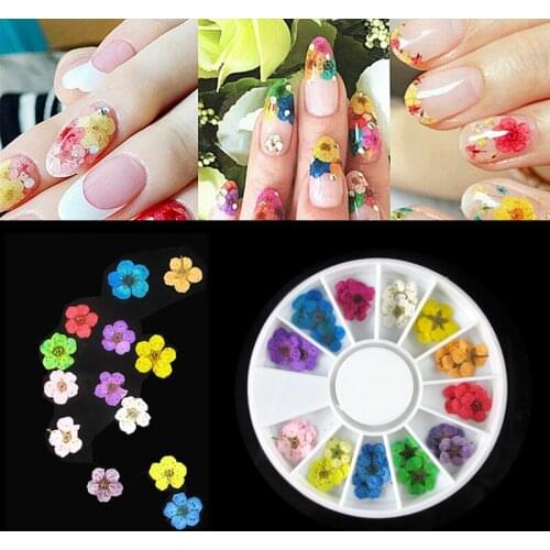 36pcs/Wheel 3D Mix Dried Flower Nail Art Decoration Blossom Daisy Floral Leaf Slider Polish Sticker Summer Manicure Accessories